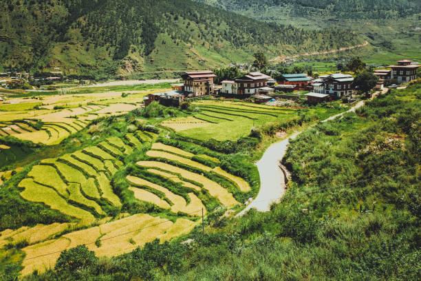 bhutan tour