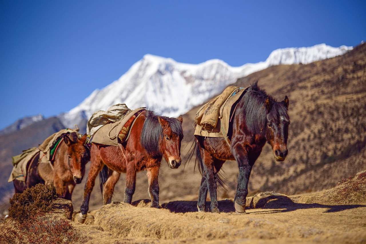 Bhutan Central tour