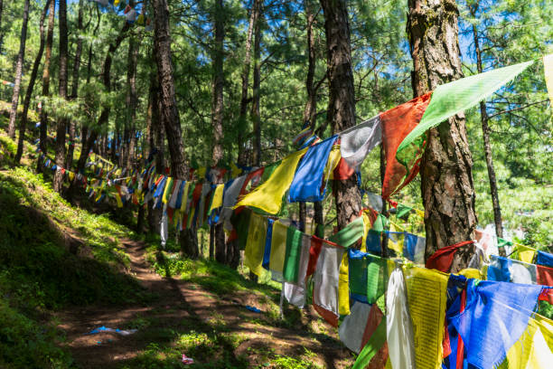 Central Bhutan tour