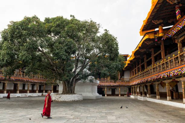Bhutan Enriching Tour